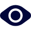 Vision Icon